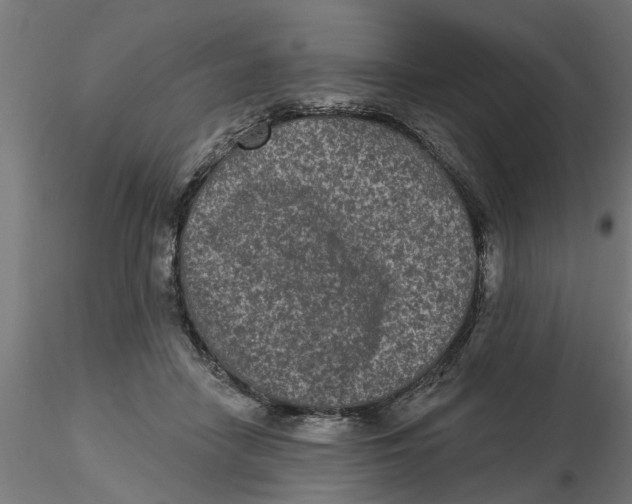 X0000116770458201001071220