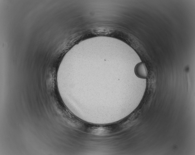 X0000116770460201001071220