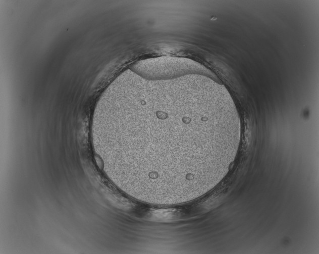 X0000116770461201001071220