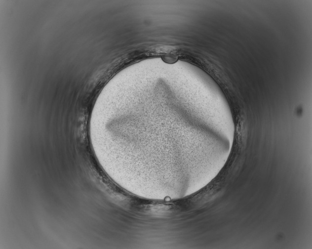 X0000116770462201001071220