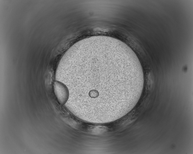 X0000116770463201001071220