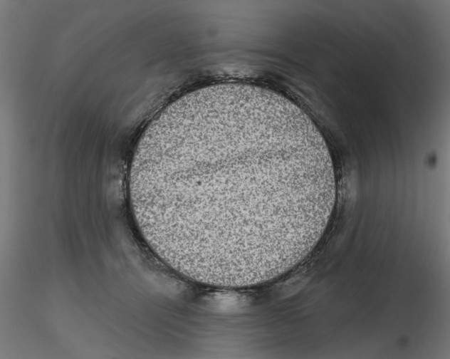 X0000116770464201001071220