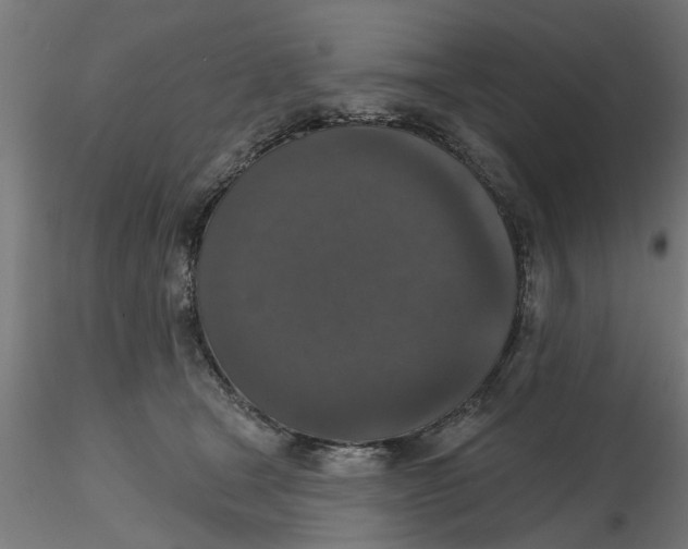 X0000116770465201001071220