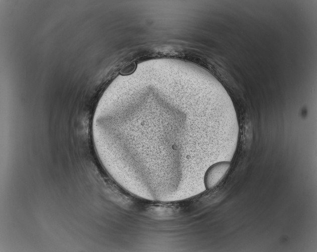 X0000116770466201001071220