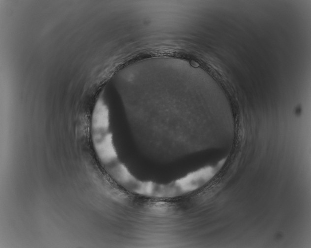 X0000116770467201001071220