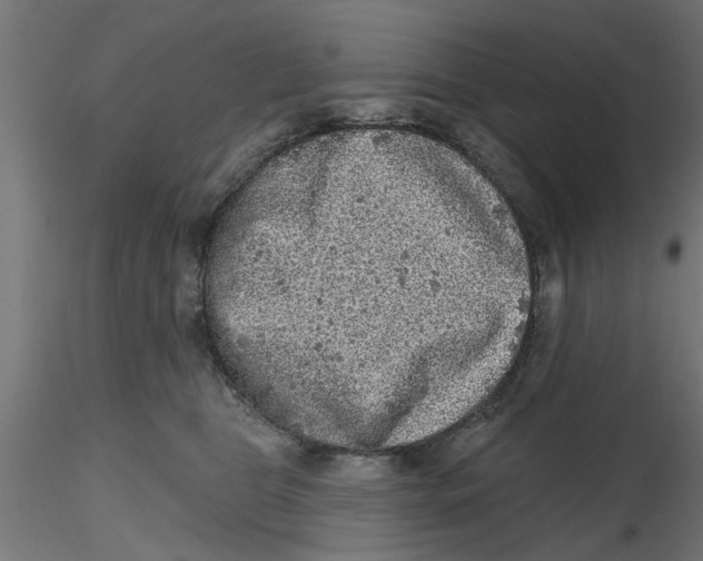 X0000116770469201001071220