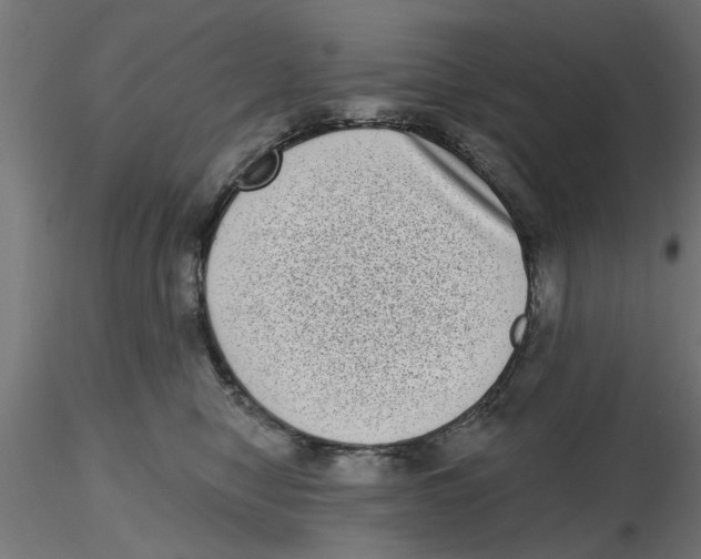 X0000116770470201001071220