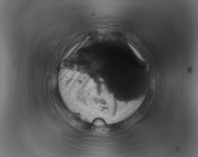 X0000116770471201001071220