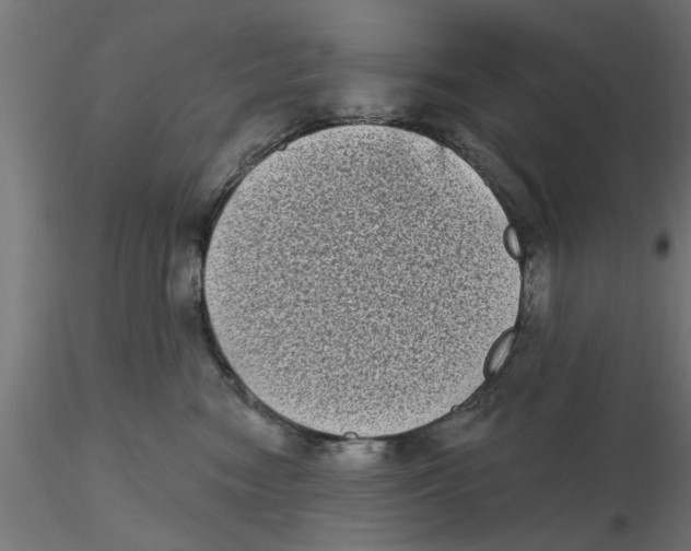 X0000116770474201001071220