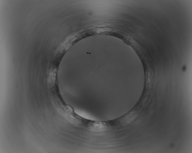 X0000116770475201001071220