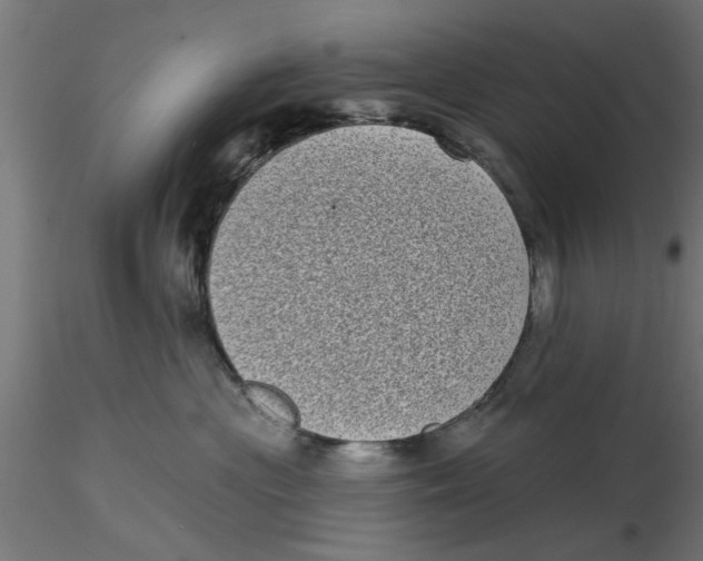 X0000116770477201001071220