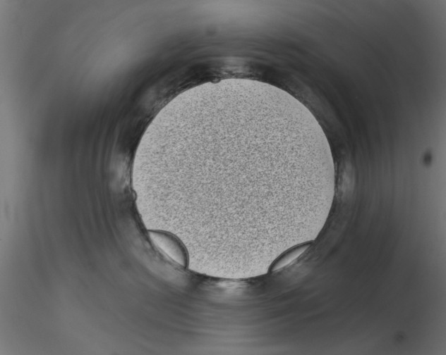 X0000116770478201001071220