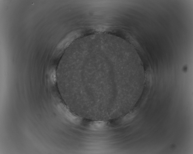 X0000116770479201001071220