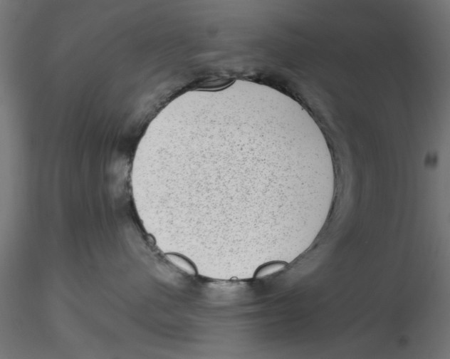 X0000116770480201001071220