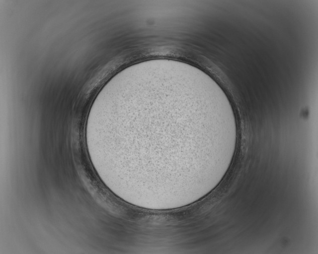 X0000116770482201001071219