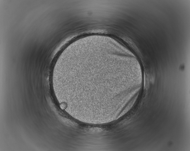 X0000116770483201001071219