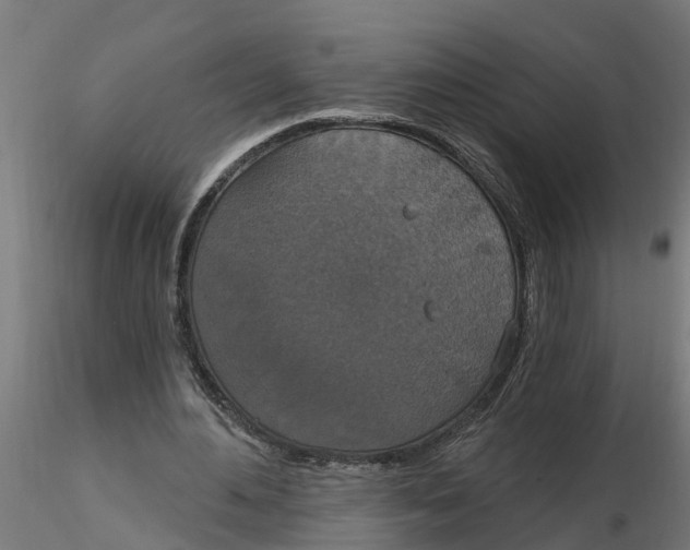 X0000116770484201001071219