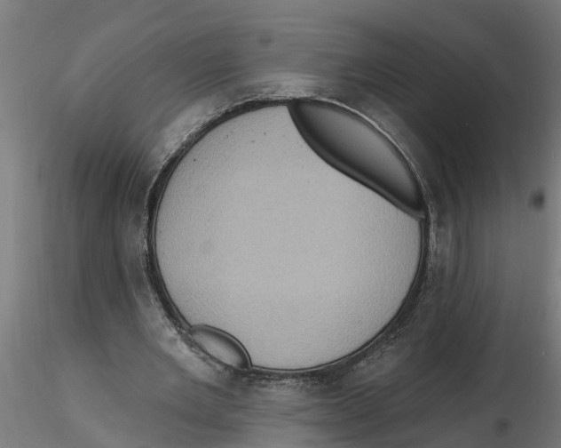 X0000116770485201001071219