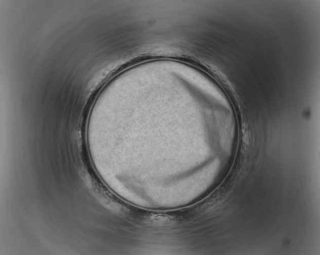 X0000116770487201001071219