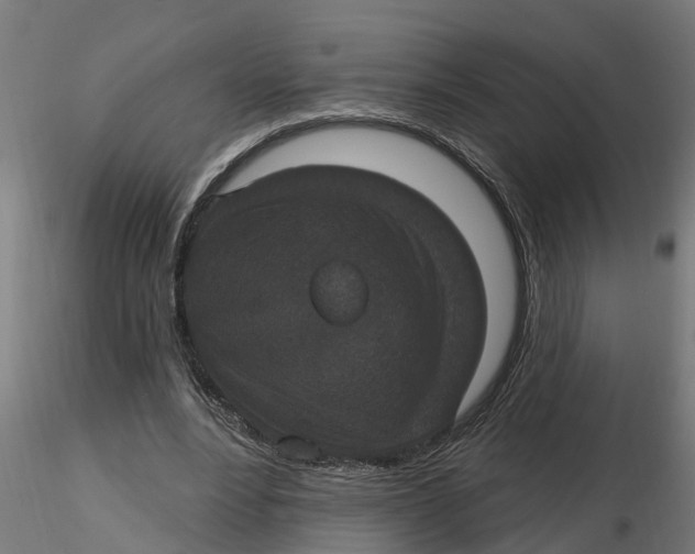 X0000116770488201001071219