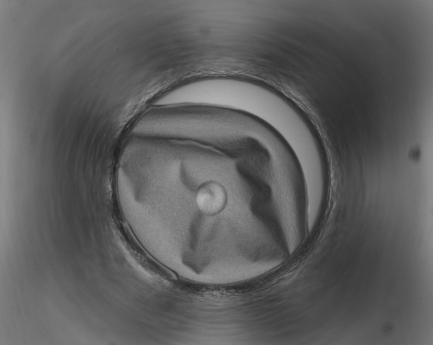 X0000116770489201001071219