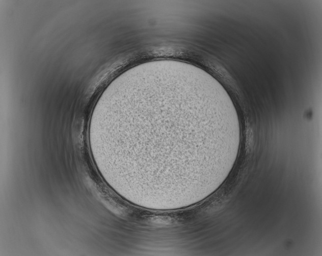 X0000116770490201001071219