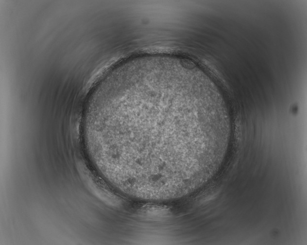 X0000116770491201001071219