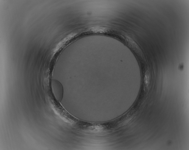 X0000116770492201001071219