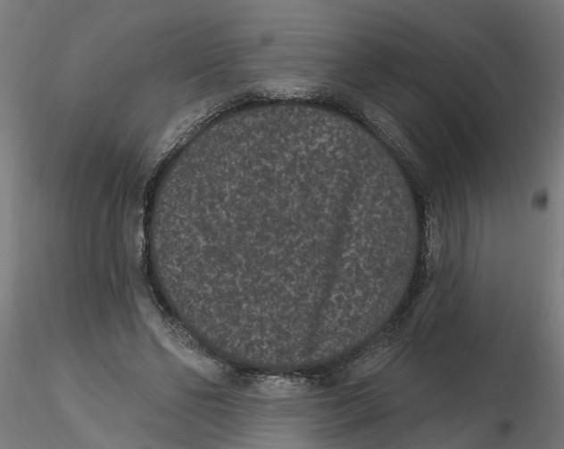 X0000116770494201001071219