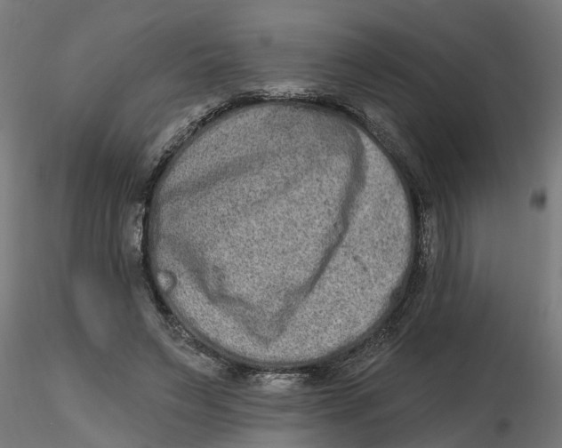 X0000116770495201001071219