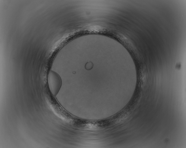 X0000116770496201001071219