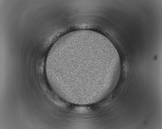 X0000116770499201001071219