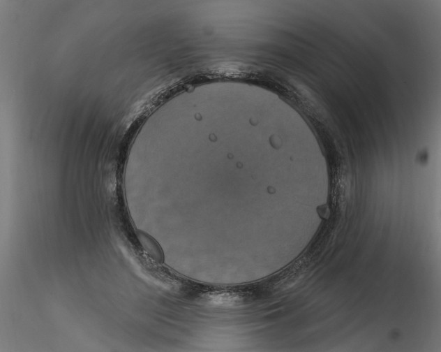 X0000116770500201001071219