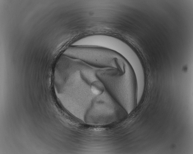 X0000116770501201001071219