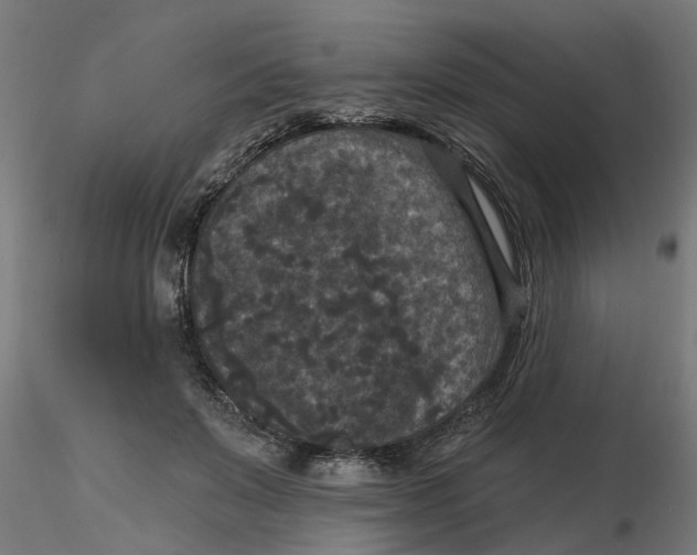 X0000116770503201001071219