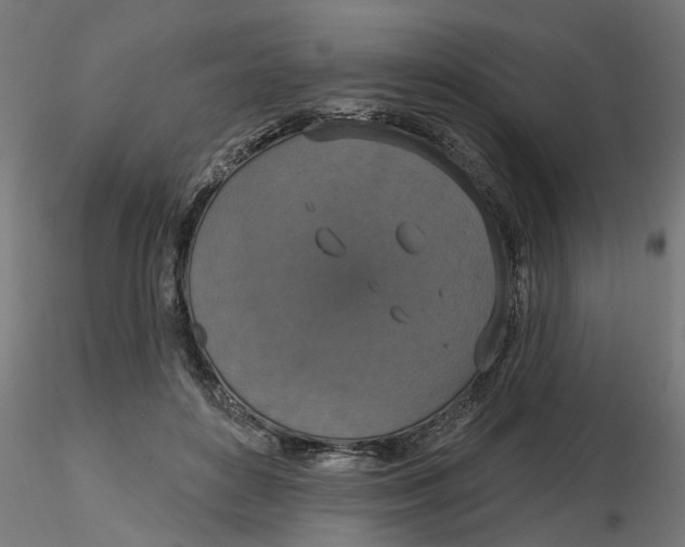 X0000116770504201001071219