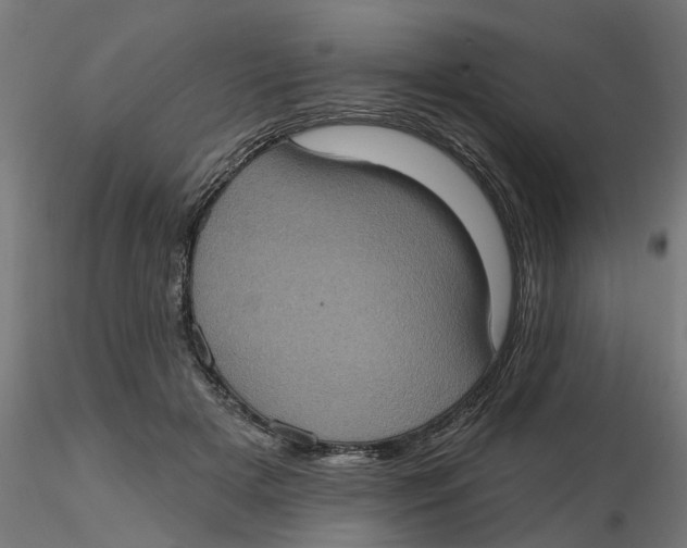 X0000116770505201001071219