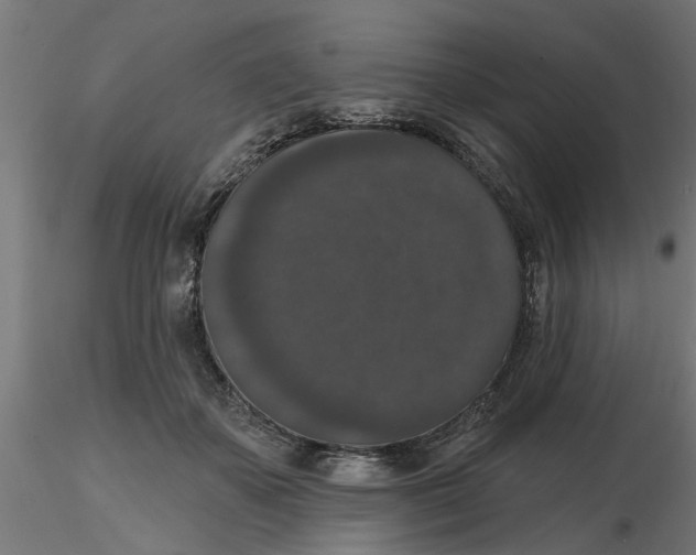 X0000116770507201001071219