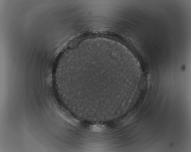 X0000116770508201001071219