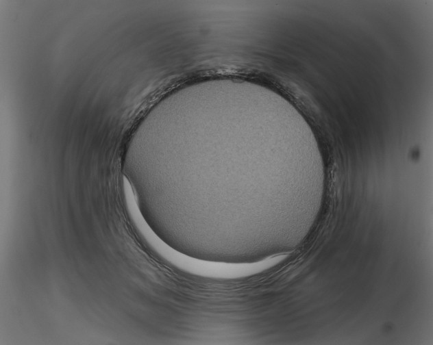 X0000116770509201001071219