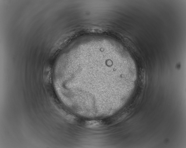 X0000116770511201001071219