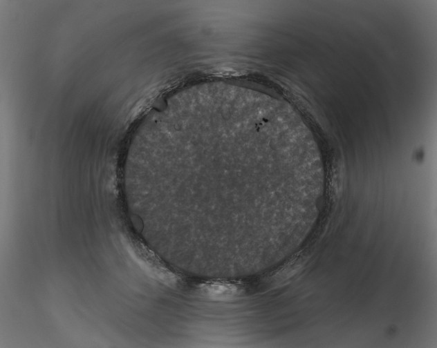 X0000116770512201001071219