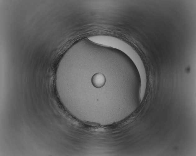 X0000116770513201001071219