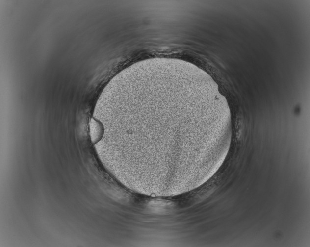 X0000116770515201001071219