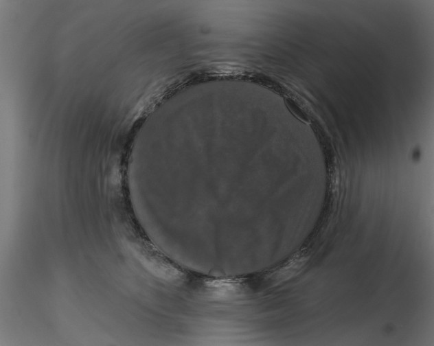 X0000116770516201001071219