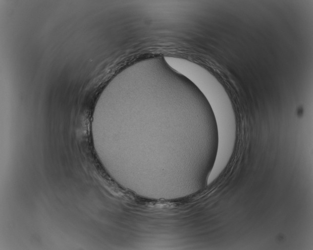 X0000116770517201001071219