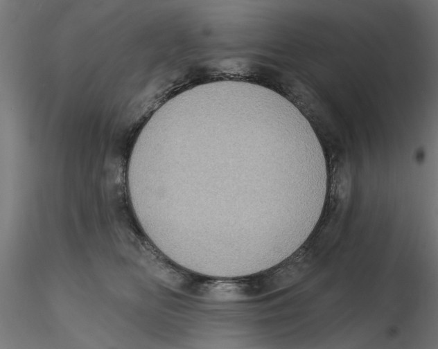 X0000116770518201001071219