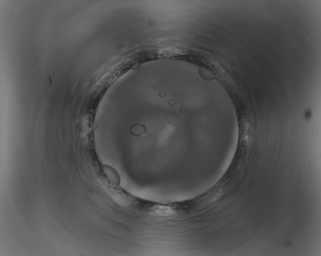 X0000116770519201001071219