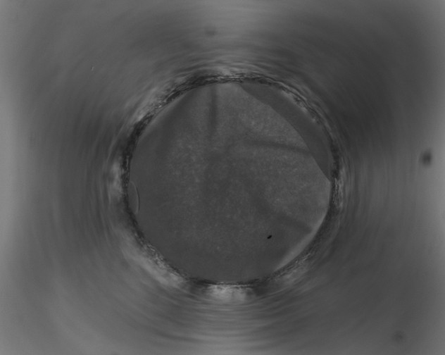 X0000116770520201001071219