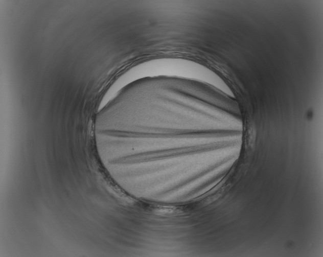 X0000116770521201001071219